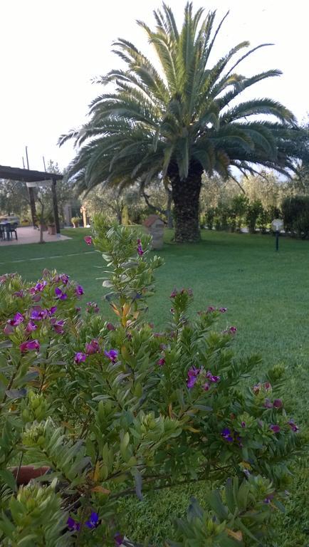 Agriturismo Valbona Villa Castiglione della Pescaia Eksteriør bilde